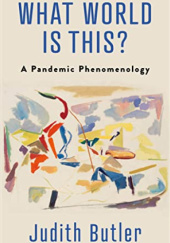 What World is This? A Pandemic Phenomenology