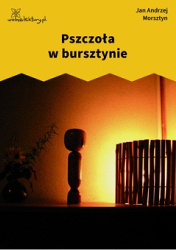 Uwięziona W Bursztynie Książka Gdzie Kupić lubimyczytac.pl