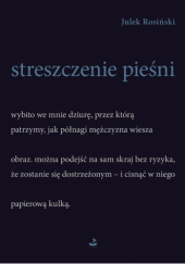 Okładka książki Streszczenie pieśni Julek Rosiński