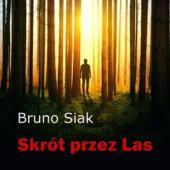 Okładka książki Skrót przez las Bruno Siak