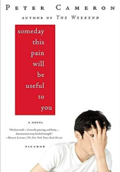Okładka książki Someday This Pain Will Be Useful to You Peter Cameron