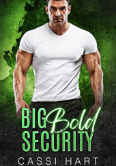Okładka książki Big Bold Security Cassi Hart