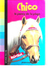 Okładka książki Chico la poney de la plage Jenny Dale