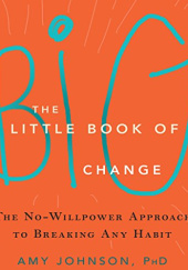 Okładka książki The Little Book of Big Change Amy Johnson