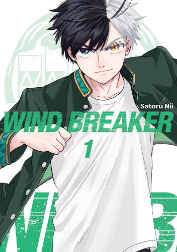 Okładki książek z cyklu Wind Breaker (Satoru Nii)