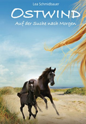 Okładka książki Auf der Suche nach Morgen Lea Schmidbauer