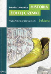 Okładka książki Historia żółtej ciżemki Antonina Domańska