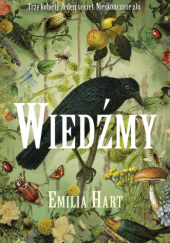 Okładka książki Wiedźmy Emilia Hart