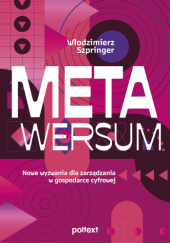 Okładka książki Metawersum. Nowe wyzwania dla zarządzania w gospodarce cyfrowej Włodzimierz Szpringer