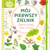Okładka książki Mój pierwszy zielnik. Zbieram kwiaty, liście i trawy Stefanie Zysk, Stefanie Zysk