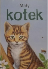 Okładka książki Mały kotek Bob Bampton