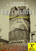 Okładka książki Wieża Głodowa. Tajemnice głogowskiego zabytku Paweł Łachowski,&nbsp;Damian Szczepanowski