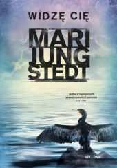 Okładka książki Widzę cię Mari Jungstedt