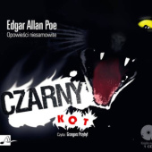 Okładka książki Opowieści niesamowite. Czarny kot Edgar Allan Poe