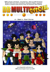 Okładka książki Dragon Ball Multiverse: Rozdziały 21-30 Salagir