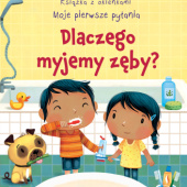 Okładka książki Dlaczego myjemy zęby? Katie Daynes