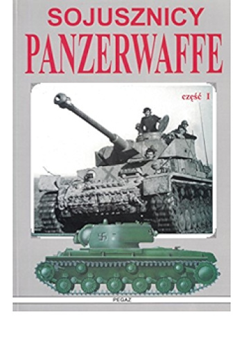 Sojusznicy Panzerwaffe cz. I