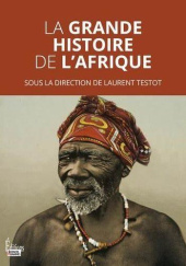 Okładka książki La grande histoire de l’Afrique Laurent Testot