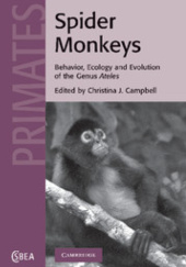Okładka książki Spider Monkeys Behavior, Ecology and Evolution of the Genus Ateles Chrisitna J. Campbell