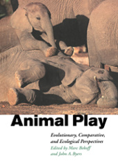 Okładka książki Animal Play Evolutionary, Comparative and Ecological Perspectives John A. Byers, Mark Bekoff