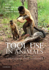 Okładka książki Tool Use in Animals Cognition and Ecology Christophe Boesch, Josep Call, Crickette M.Sanz