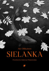 Okładka książki Sielanka Aki Ollikainen
