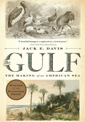Okładka książki The Gulf: The Making of an American Sea Jack E. Davis