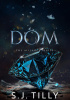 Okładka książki Dom S.J. Tilly