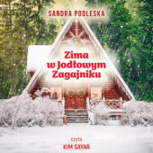 Okładka książki Zima w Jodłowym Zagajniku Sandra Podleska