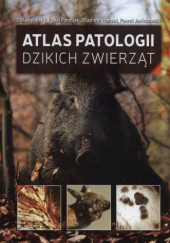Okładka książki Atlas Patologii Dzikich Zwierząt Pavel Forejtek, Vladimir Hanzal, Paweł Janiszewski, Dušan Rajský