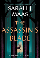 Okładka książki The Assassins Blade Sarah J. Maas