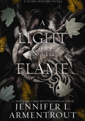 Okładka książki A light in the flame Jennifer L. Armentrout