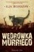 Wędrówka Murriego