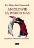 Okładka książki Aniołowie są wśród nas Alfons Skowronek