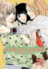Okładka książki Kimi ni Todoke #18 Shiina Karuho