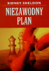 Niezawodny plan