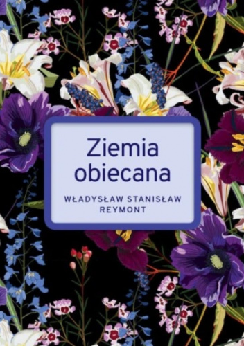 Okładki książek z serii Klasyka literatury polskiej i światowej