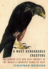 Okładka książki A Most Remarkable Creature The Hidden Life and Epic Journey of the World's Smartest Birds of Prey Jonathan Meiburg