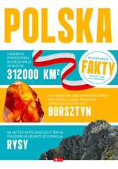Okładka książki Polska praca zbiorowa