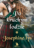 Okładka książki Po kruchym lodzie Josephine Lys