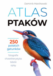 Okładka książki Atlas ptaków. 250 polskich gatunków Dominik Marchowski