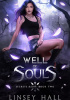 Okładka książki Well of souls Linsey Hall
