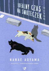 Okładka książki Idealny czas na smuteczek Nanae Aoyama