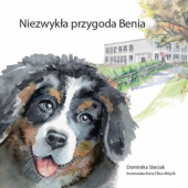 Okładka książki Niezwykłe przygody Benia Dominika Steciak