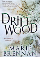 Okładka książki Driftwood Marie Brennan