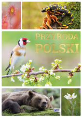 Okładka książki Przyroda Polski praca zbiorowa