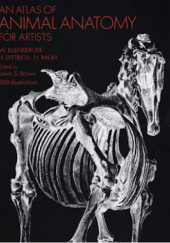 Okładka książki An Atlas of Animal Anatomy for Artists Hermann Baum, H. Dittrich, Wilhelm Ellenberger