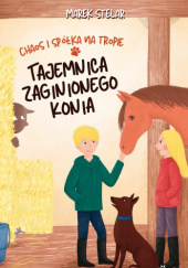 Okładka książki Tajemnica zaginionego konia Marek Stelar