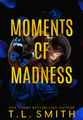 Okładka książki Moments of Madness T.L. Smith