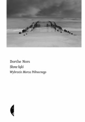 Okładka książki Słone łąki. Wybrzeże Morza Północnego Dorthe Nors